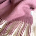 IMG_5047ab.webp